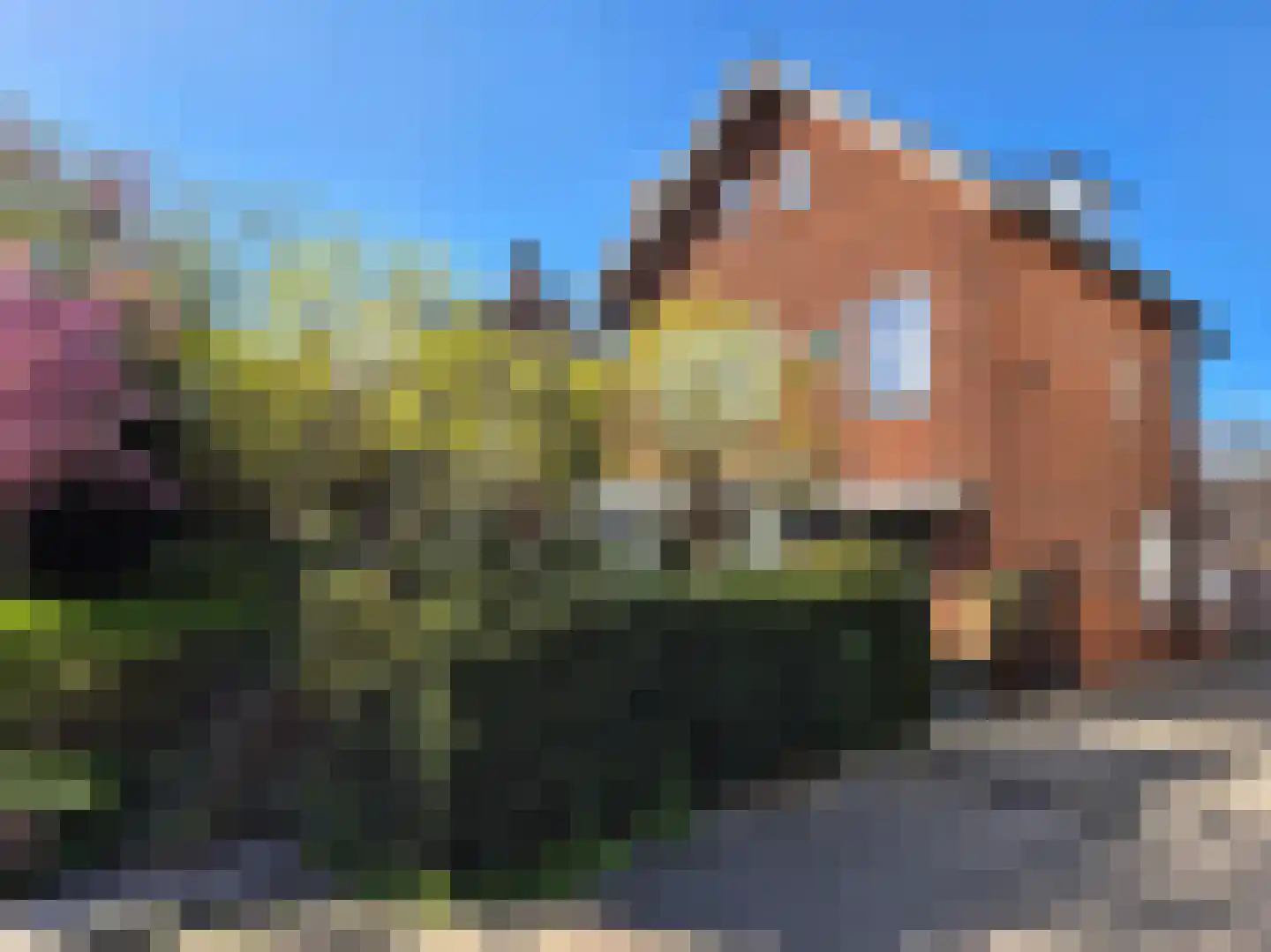 Heemraadschapslaan 94 Amstelveen