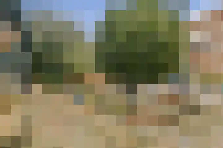 Heemraadschapslaan 94 Amstelveen thumbnail 13