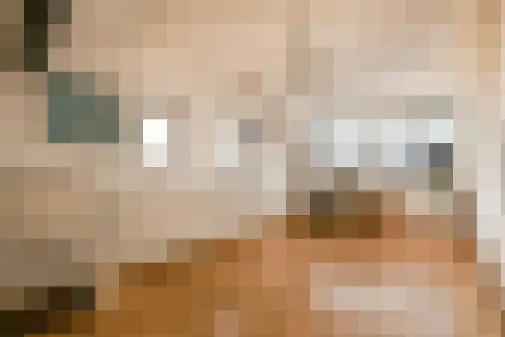 Heemraadschapslaan 94 Amstelveen thumbnail 27