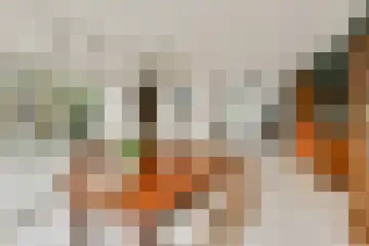 Heemraadschapslaan 94 Amstelveen thumbnail 7
