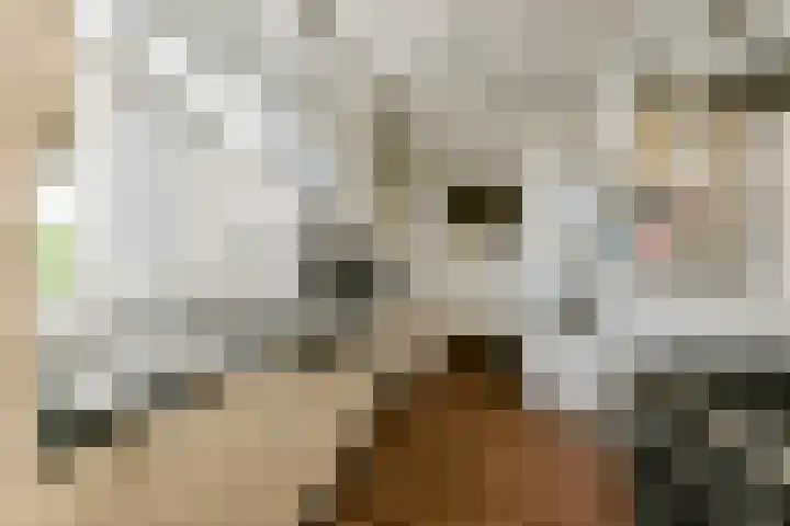 Heemraadschapslaan 94 Amstelveen thumbnail 9