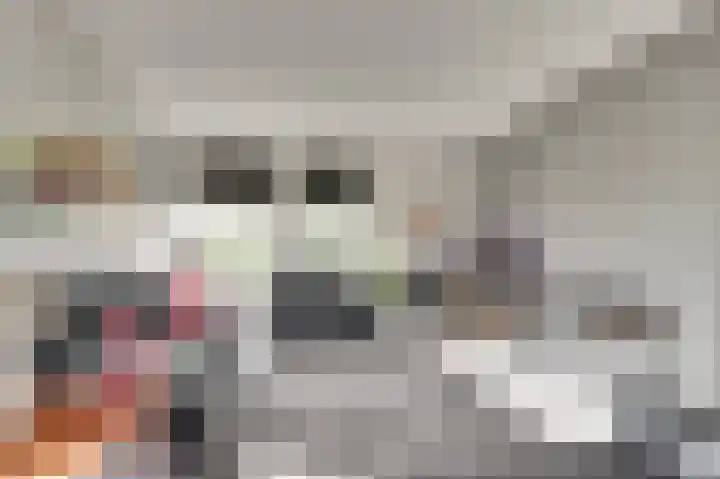 Heemraadsdam 37 Oosterhout thumbnail 10