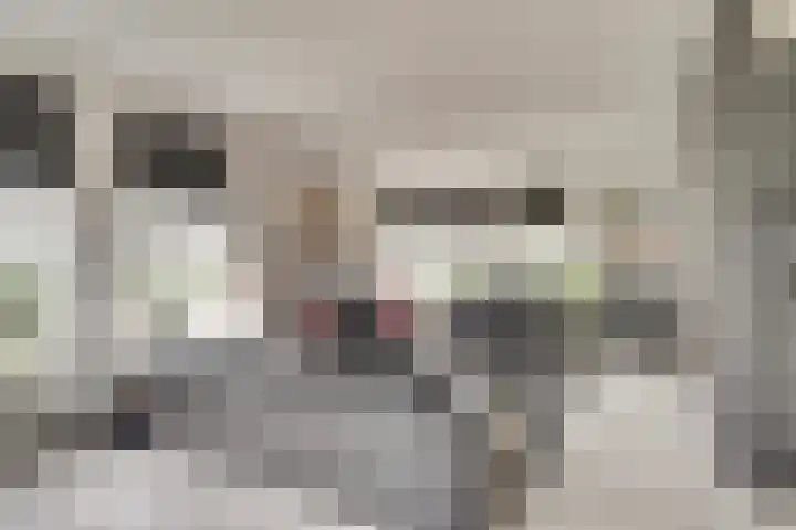 Heemraadsdam 37 Oosterhout thumbnail 12