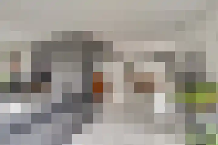 Heemraadsdam 37 Oosterhout thumbnail 14