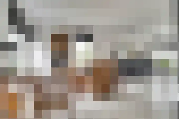 Heemraadsdam 37 Oosterhout thumbnail 16