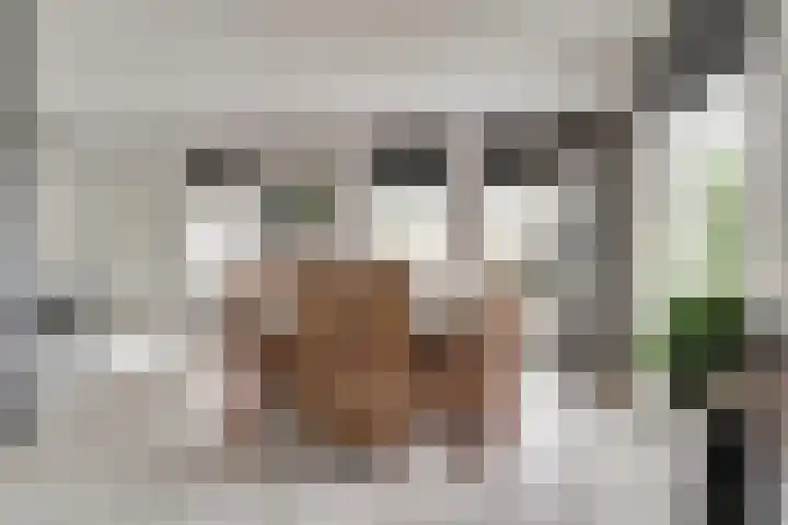Heemraadsdam 37 Oosterhout thumbnail 17