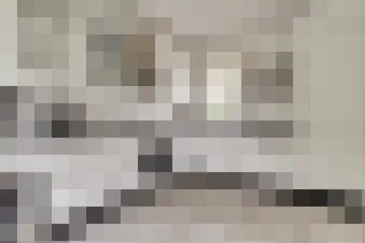 Heemraadsdam 37 Oosterhout thumbnail 18