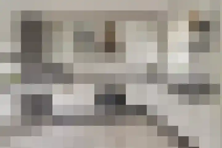 Heemraadsdam 37 Oosterhout thumbnail 19