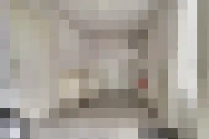Heemraadsdam 37 Oosterhout thumbnail 20