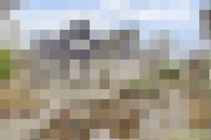 Heemraadsdam 37 Oosterhout thumbnail 21