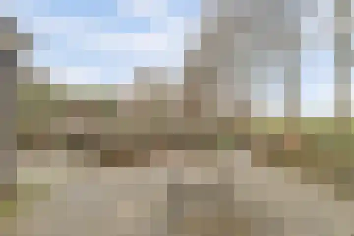 Heemraadsdam 37 Oosterhout thumbnail 22