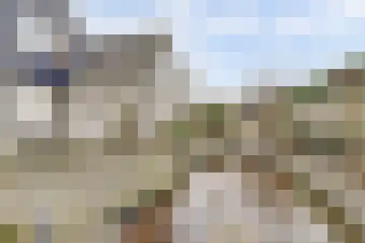 Heemraadsdam 37 Oosterhout thumbnail 23