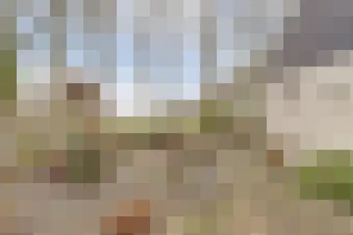 Heemraadsdam 37 Oosterhout thumbnail 24