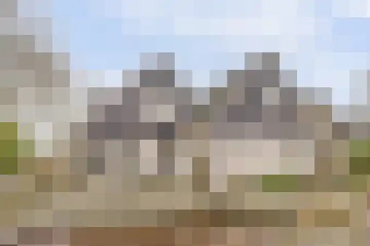 Heemraadsdam 37 Oosterhout thumbnail 25