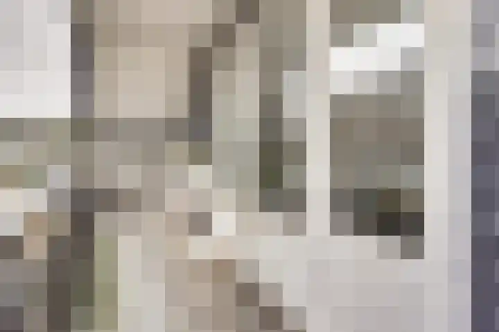 Heemraadsdam 37 Oosterhout thumbnail 30