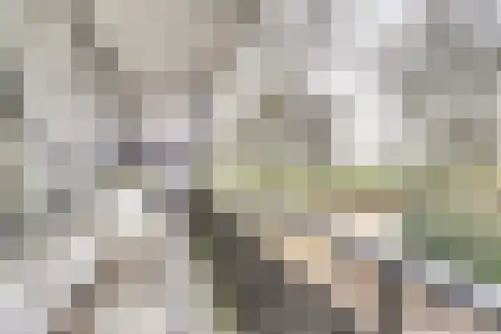 Heemraadsdam 37 Oosterhout thumbnail 31