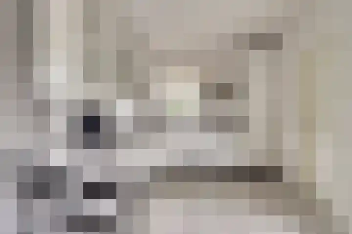 Heemraadsdam 37 Oosterhout thumbnail 4