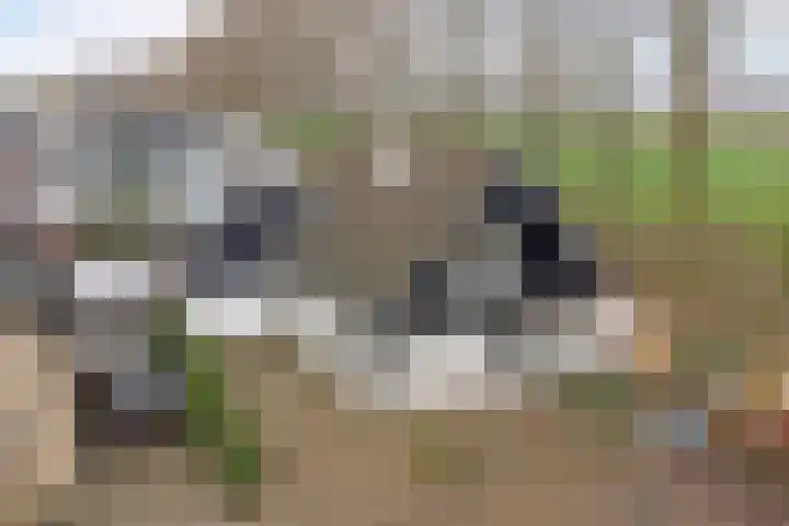 Heemraadsdam 37 Oosterhout thumbnail 42