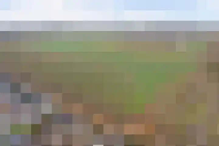 Heemraadsdam 37 Oosterhout thumbnail 43