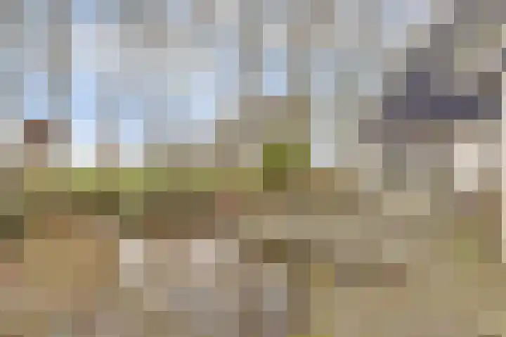 Heemraadsdam 37 Oosterhout thumbnail 6