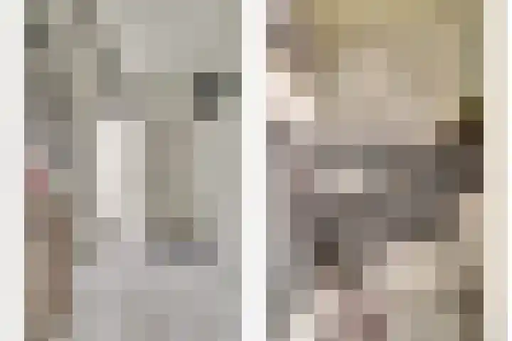 Heemraadsdam 37 Oosterhout thumbnail 8
