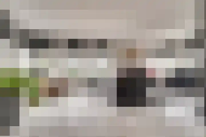 Heemraadsdam 37 Oosterhout thumbnail 9