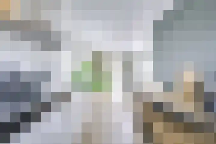 Heemraadserf 13 Houten thumbnail 10