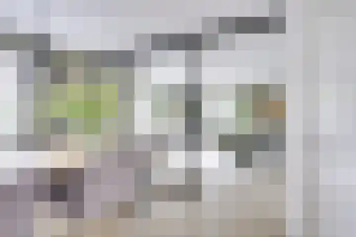 Heemraadserf 13 Houten thumbnail 11
