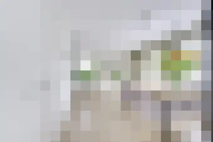 Heemraadserf 13 Houten thumbnail 13