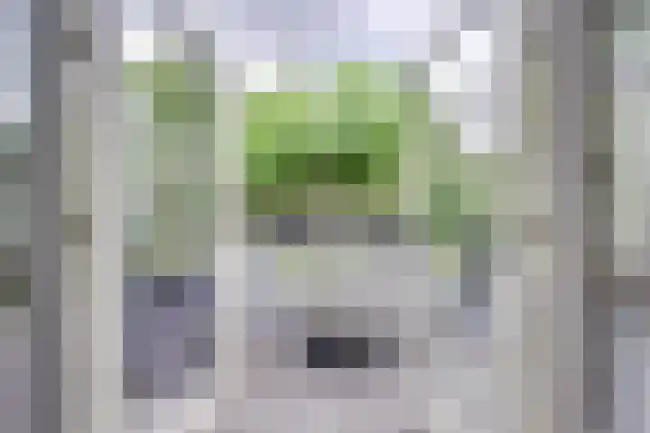 Heemraadserf 13 Houten thumbnail 17
