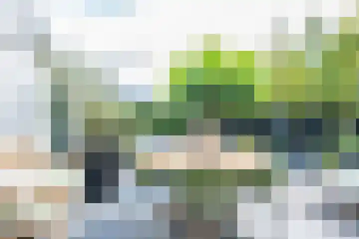 Heemraadserf 13 Houten thumbnail 18