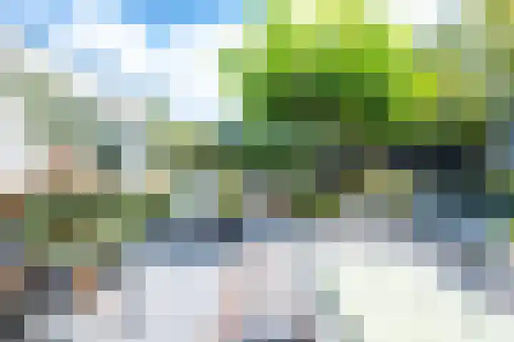 Heemraadserf 13 Houten thumbnail 19