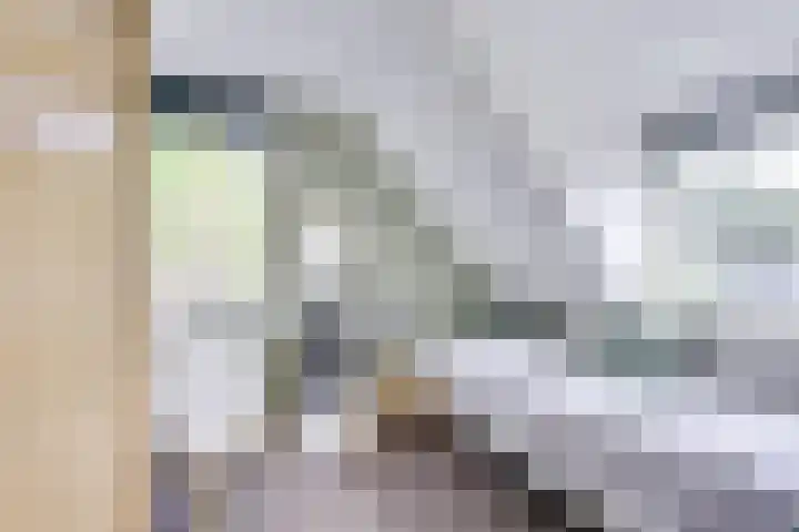 Heemraadserf 13 Houten thumbnail 35