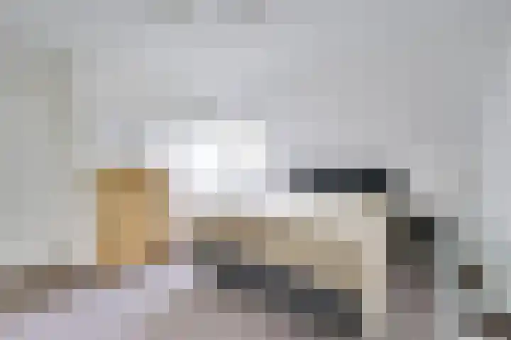 Heemraadserf 13 Houten thumbnail 38
