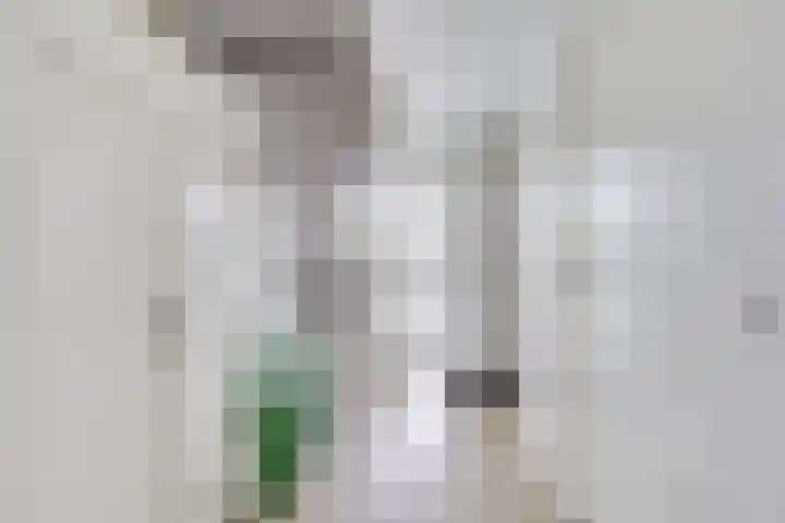 Heemraadserf 13 Houten thumbnail 4
