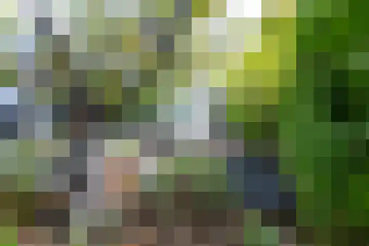 Heemraadserf 13 Houten thumbnail 42
