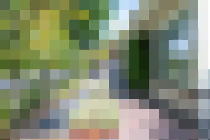 Heemraadserf 13 Houten thumbnail 44