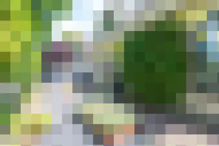 Heemraadserf 13 Houten thumbnail 45
