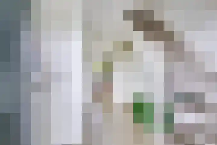 Heemraadserf 13 Houten thumbnail 5
