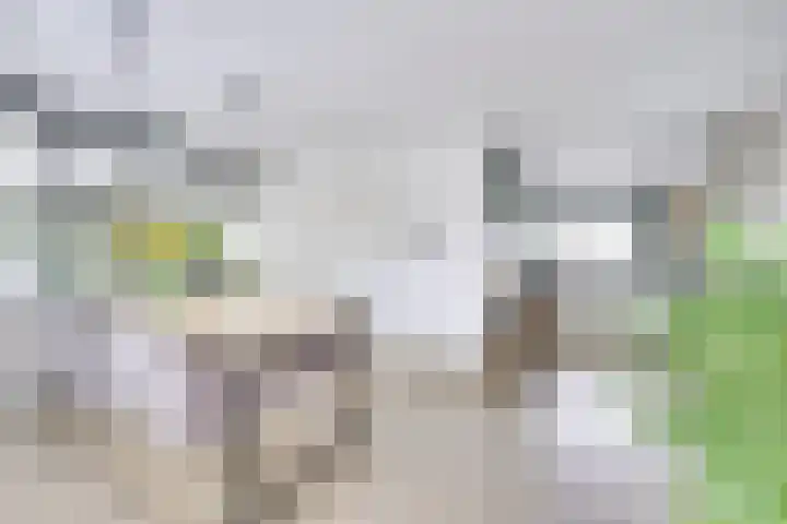 Heemraadserf 13 Houten thumbnail 7