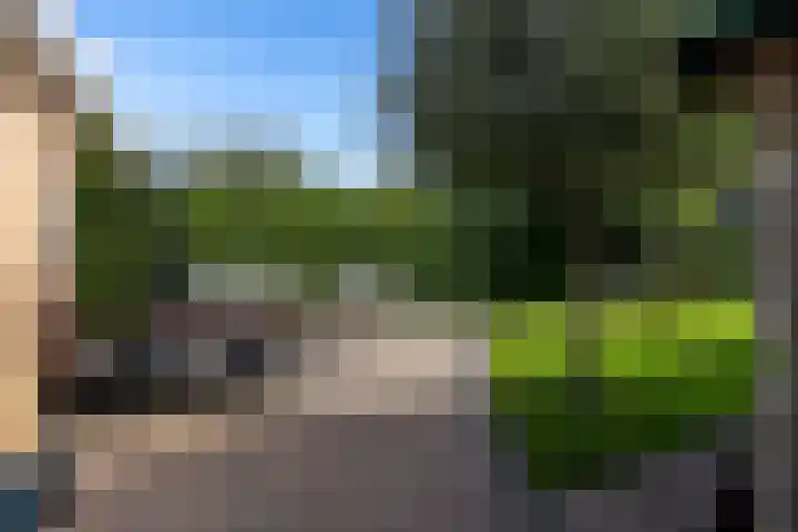 Heemraadserf 15 Houten thumbnail 20