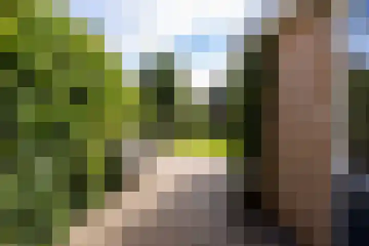 Heemraadserf 15 Houten thumbnail 21