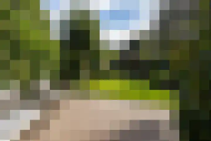 Heemraadserf 15 Houten thumbnail 22