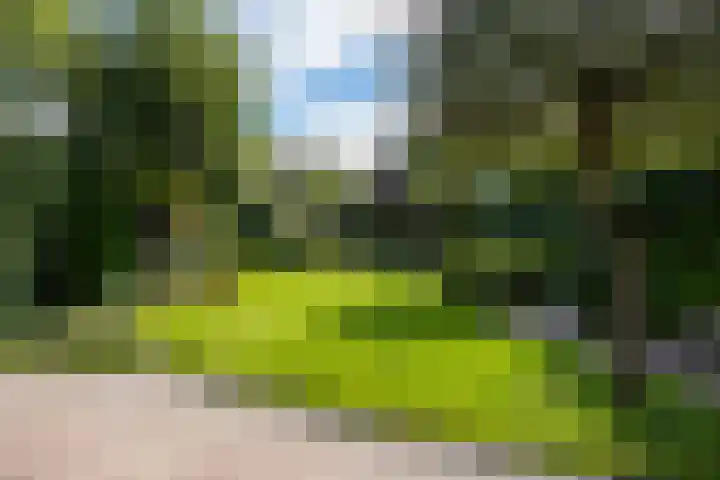 Heemraadserf 15 Houten thumbnail 23