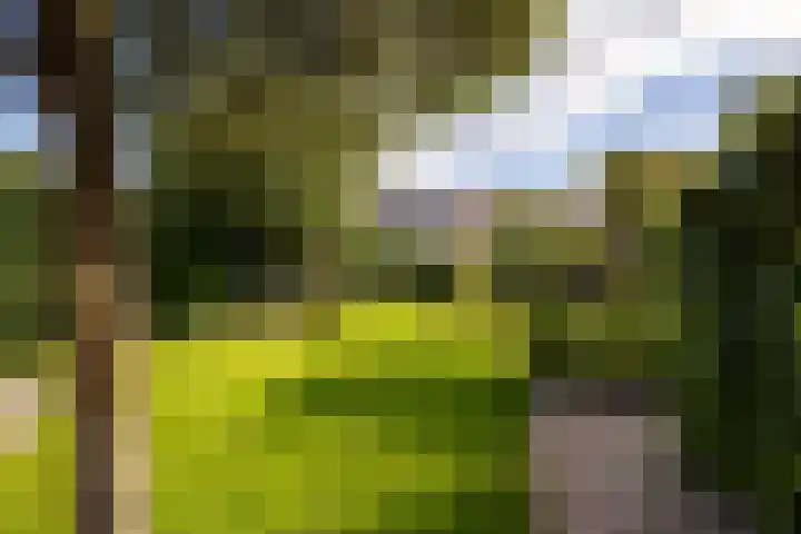 Heemraadserf 15 Houten thumbnail 24