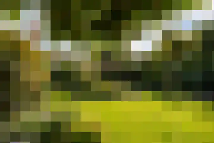 Heemraadserf 15 Houten thumbnail 25
