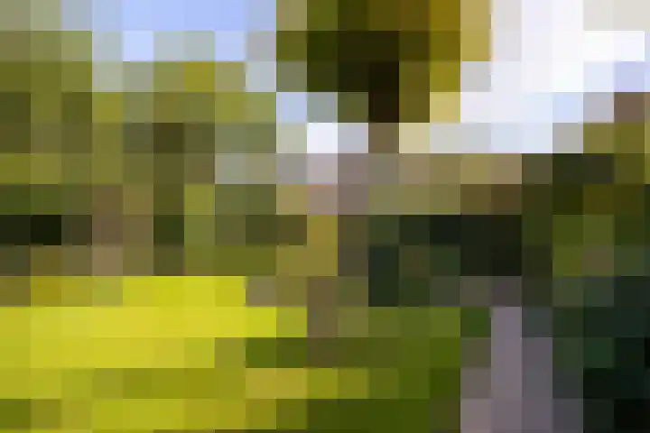Heemraadserf 15 Houten thumbnail 26