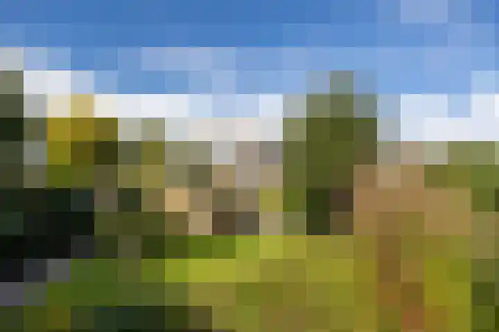 Heemraadserf 15 Houten thumbnail 27