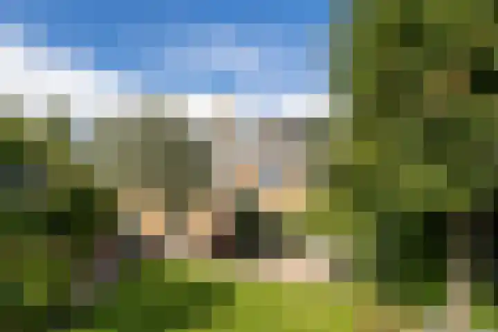 Heemraadserf 15 Houten thumbnail 28