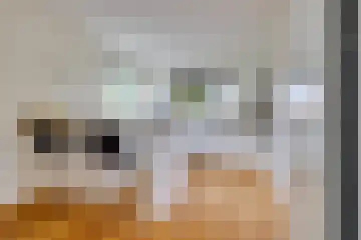 Heemraadserf 15 Houten thumbnail 29